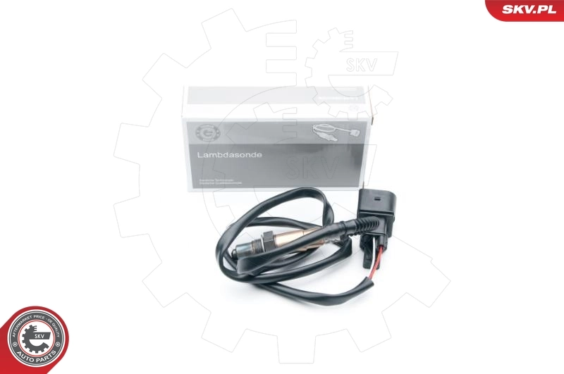 Oxygen Sensor